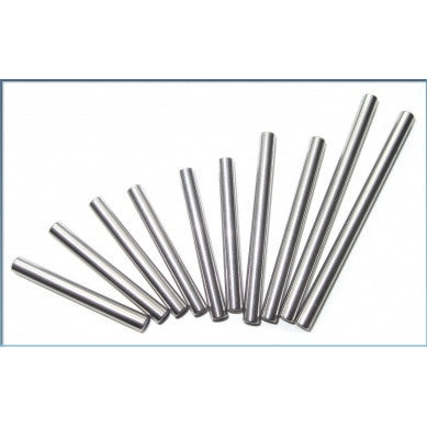 Hinge Pin Set (10pcs) - S10 Twister