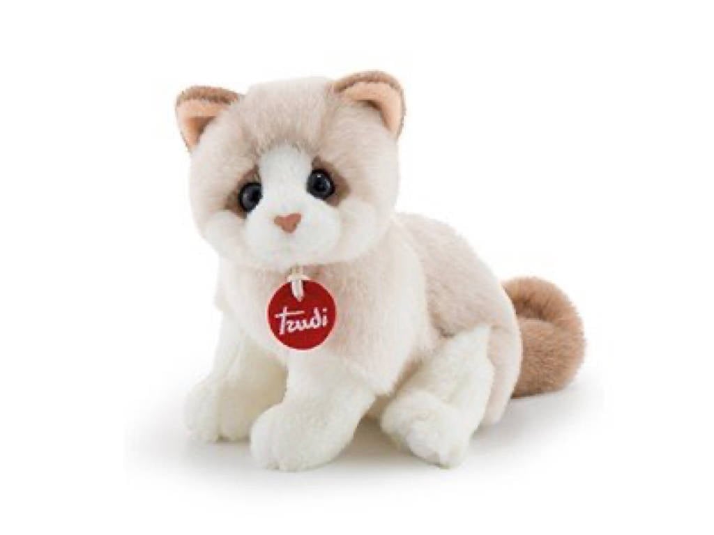 Gattino Brad bianco/beige S