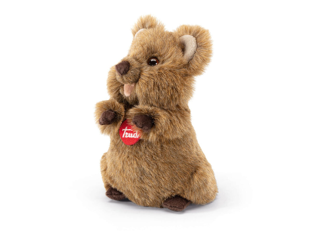 Quokka Arturo S