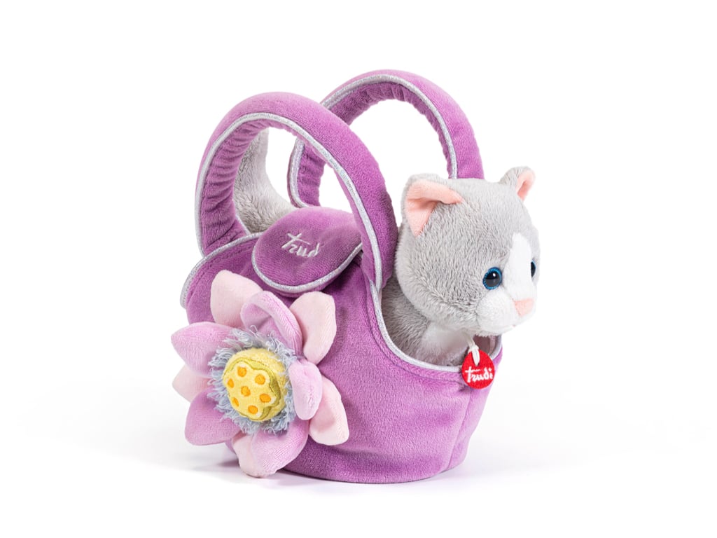 Gattino nella borsetta