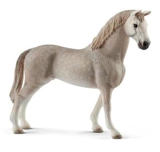 Castrone Schleich Holstein