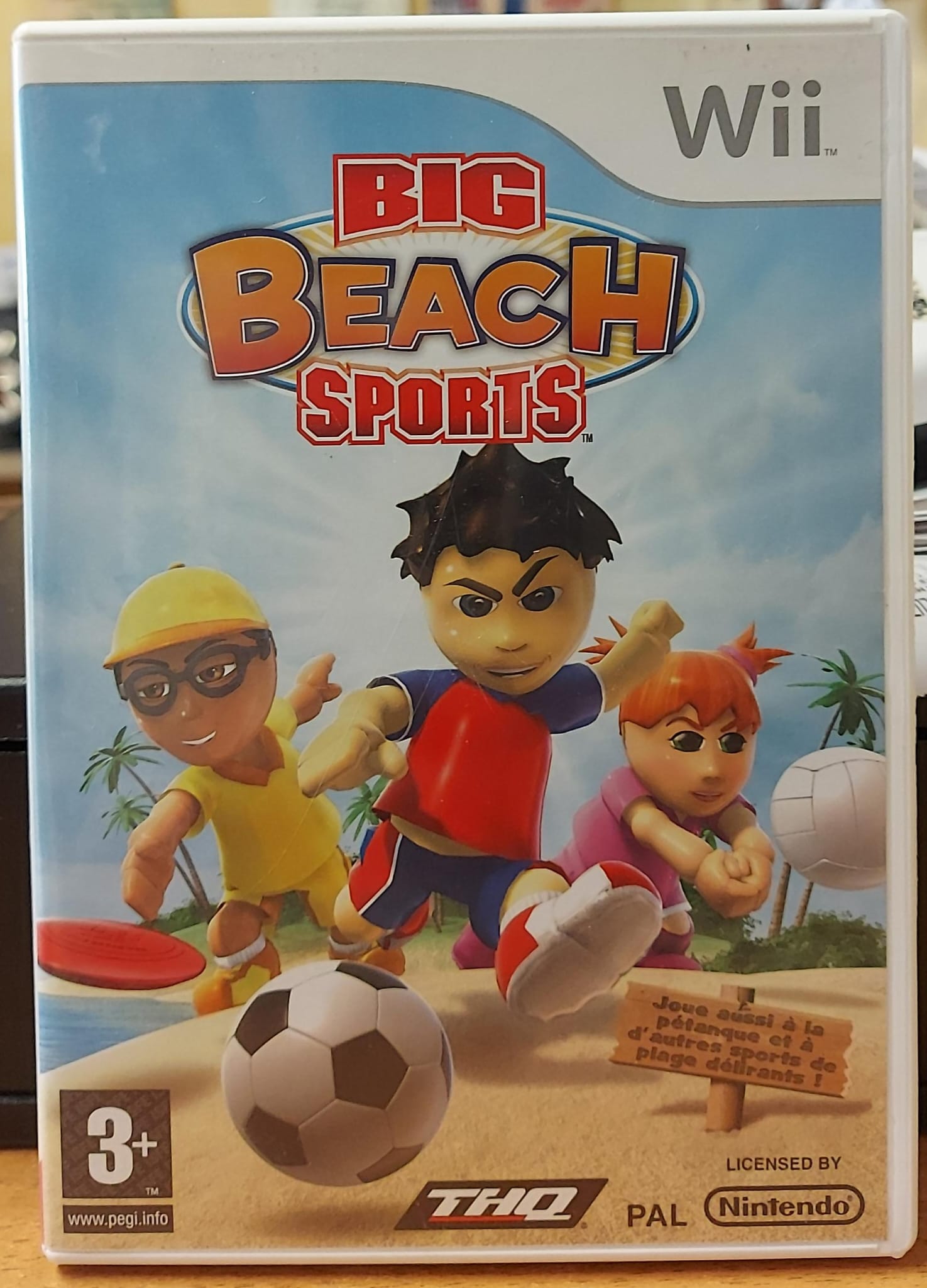 BIG BEACH SPORTS