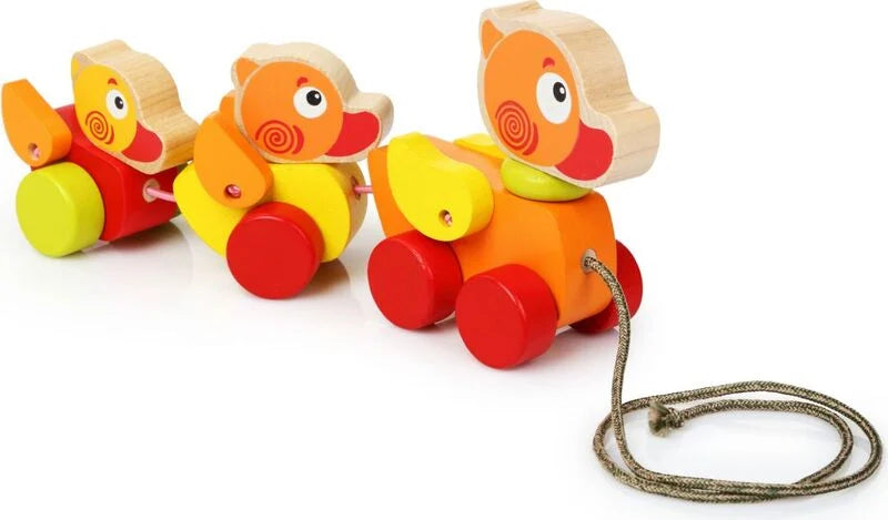 Anatre da Trainare - Cubika - Art. 13722