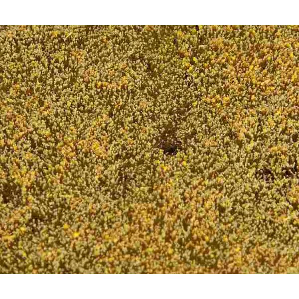 Faller - PREMIUM Landscape segment, Cereal field