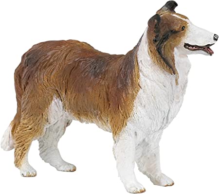 Border Collie - Papo - Art. 30230