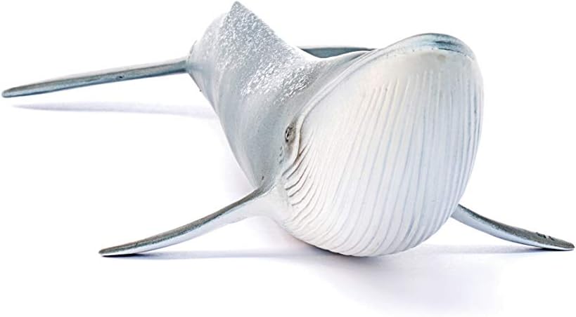 Balenottera Azzurra - Schleich - Art. 14806