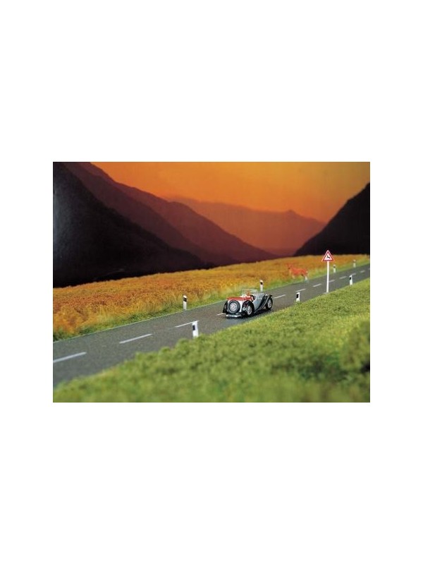 BUSCH 6033 Scala HO Strada asfaltata con segnaletica cm. 100 x 6,6 autoadesiva