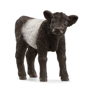 Vitello Schleich Galloway