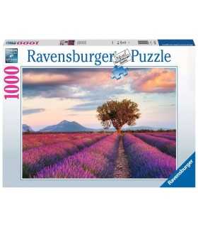 Campi di Lavanda - puzzle 1000 pezzi