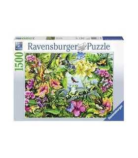Cerca le Rane - puzzle 1500 pezzi