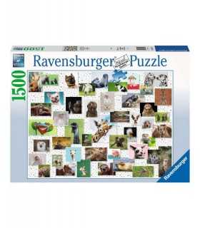 Collage di Animali - puzzle 1500 pezzi