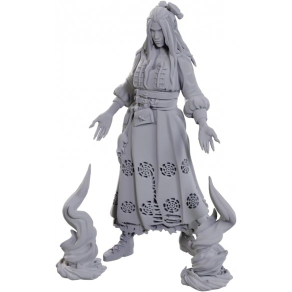 Critical Role Unpainted Miniatures - Laudna