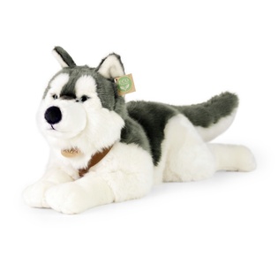 Cane peluche Husky con collare sdraiato 60 cm ECO-FRIENDLY