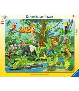 Didactica Incorniciati - Tiere im Refenwald- puzzle 11 pezzi