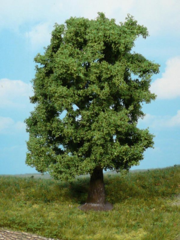 HEKI 1741 Castagno (altezza cm. 20)