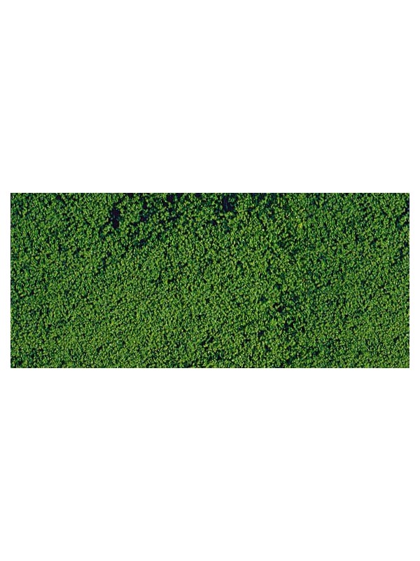 HEKI 1602 Confezione microflora verde medio/scuro per vegetazione (cm. 28 x 14)