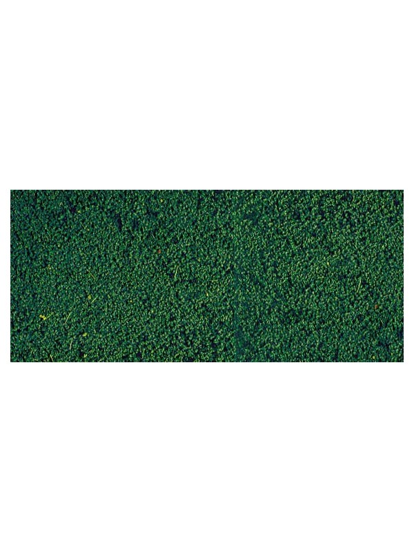 HEKI 1603 Confezione microflora verde pino per vegetazione (misure cm. 28 x 14)