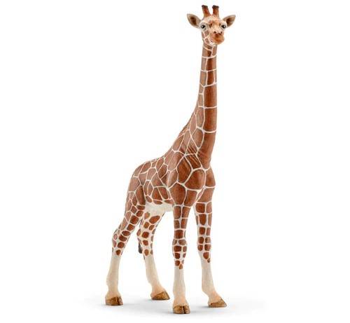 MODELLINO IN SCALA COMPATIBILE CON FEMMINA DI GIRAFFA SCHLEICH SCH14750 FIGURE 3D