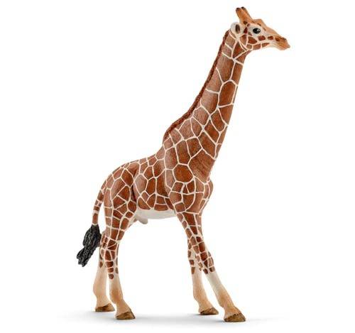 MODELLINO IN SCALA COMPATIBILE CON GIRAFFA MASCHIO SCHLEICH SCH14749 DIE CAST