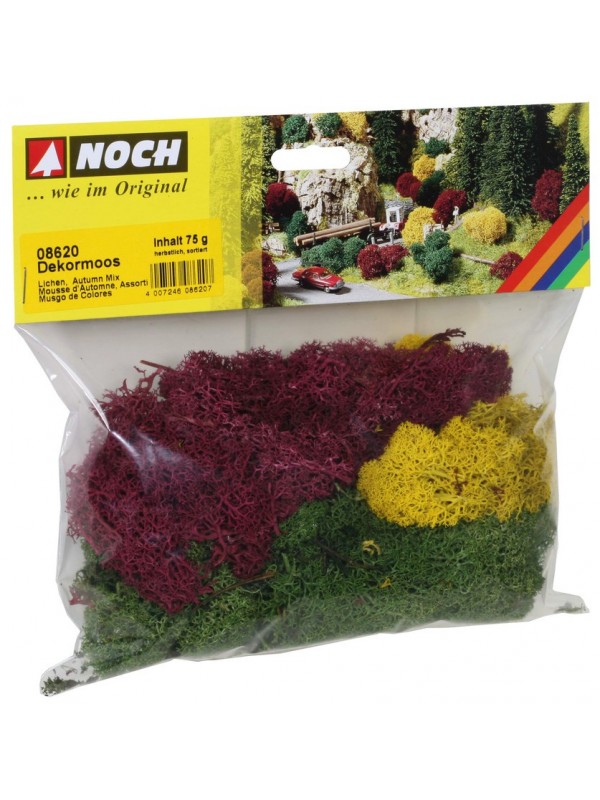 NOCH 08620 Confezione di licheni colori assortiti gr. 75