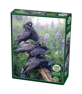 Raven Rendezvous - Puzzle 1000 pezzi