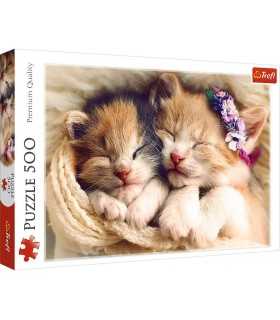 Sleeping Kittens - Puzzle 500 pezzi