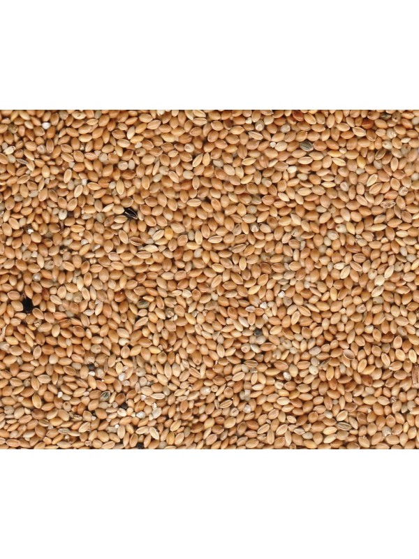 VOLLMER 45240 Scala HO Materiale da carico: Confezione di pietrisco