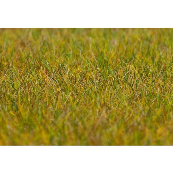 Faller - PREMIUM ground cover fibres, Meadow, light green, 6 mm, 30 g